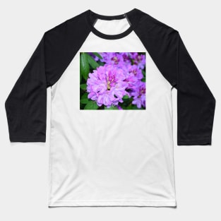 Rhododendron flowers Baseball T-Shirt